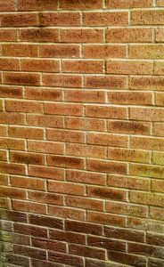 picture of a cavity type wall